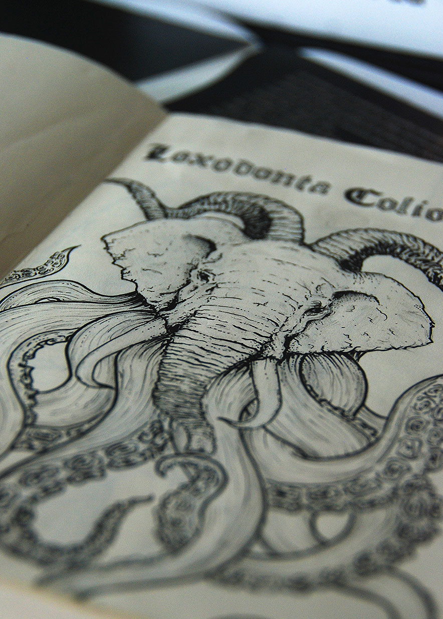 Loxodonta Colioidea by The21night