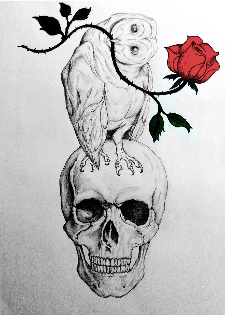 Skull Owl by The21night